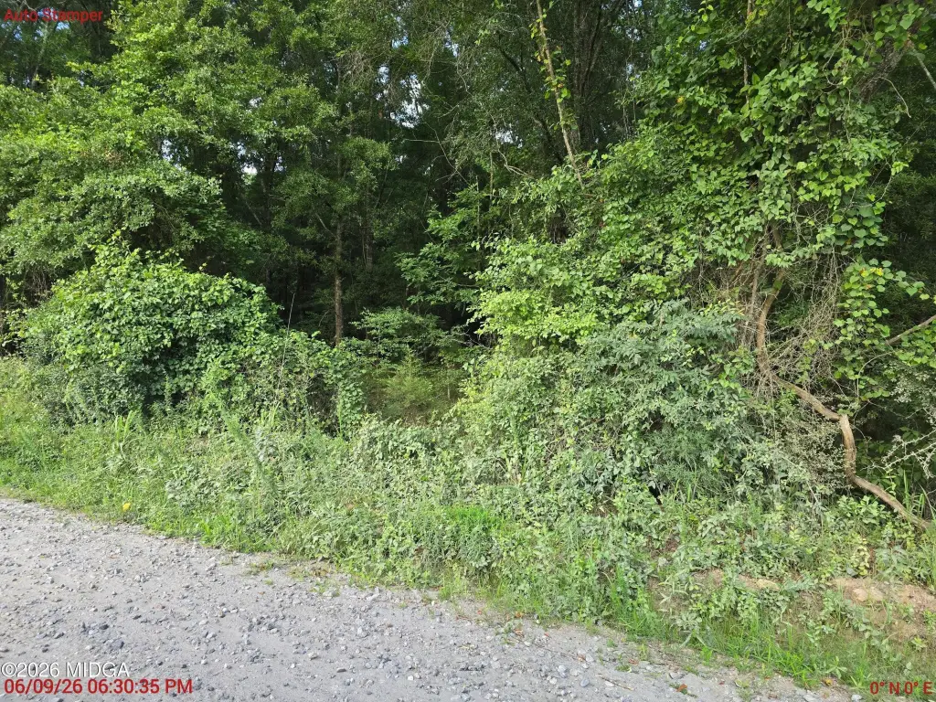 Picture 2