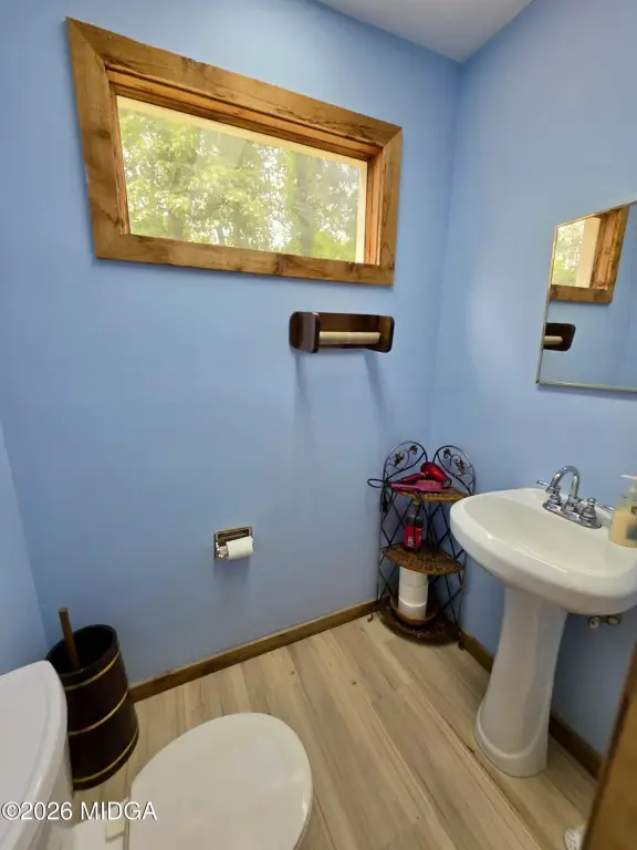 Picture 18