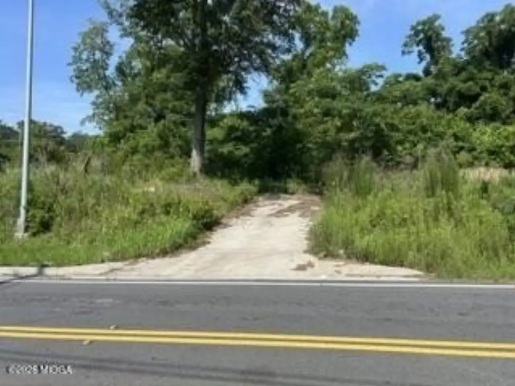 Picture 5