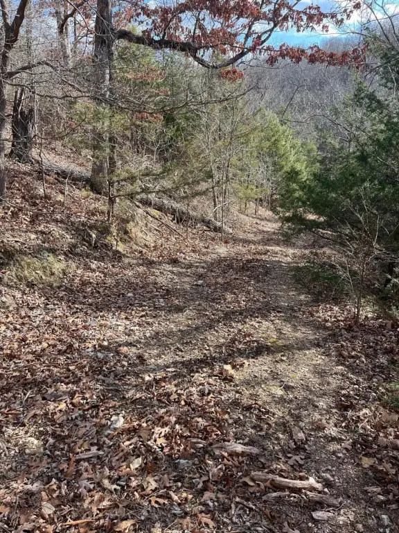 Picture 36