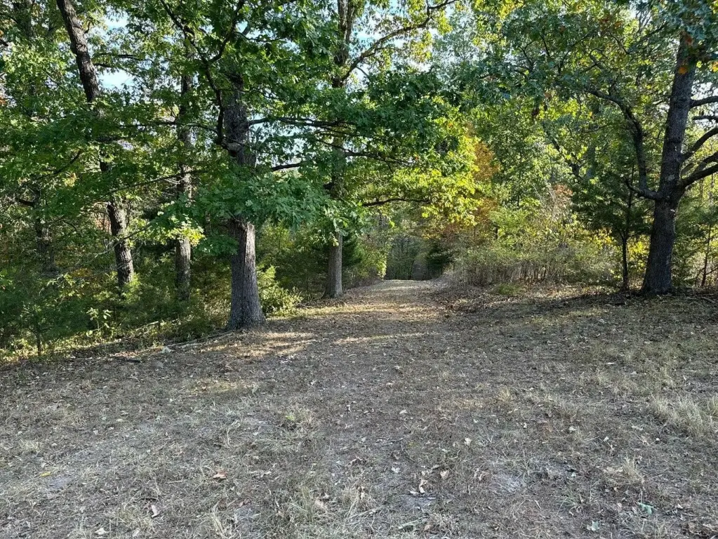 Picture 7