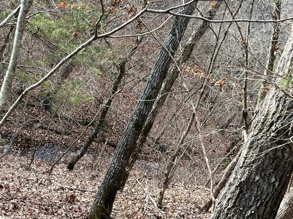 Picture 12