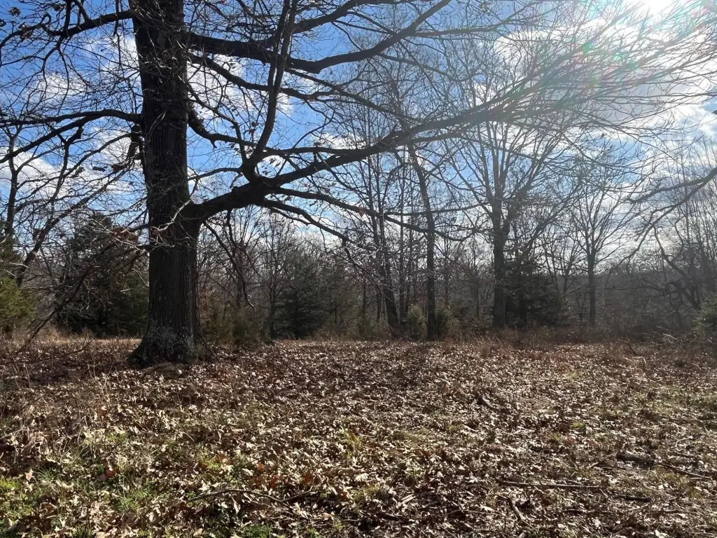 Picture 18