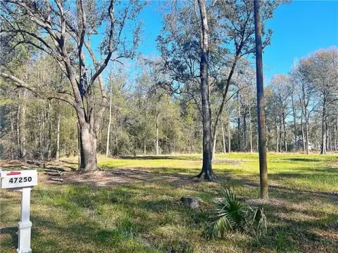 Spacious Lot in Bellewood Estates