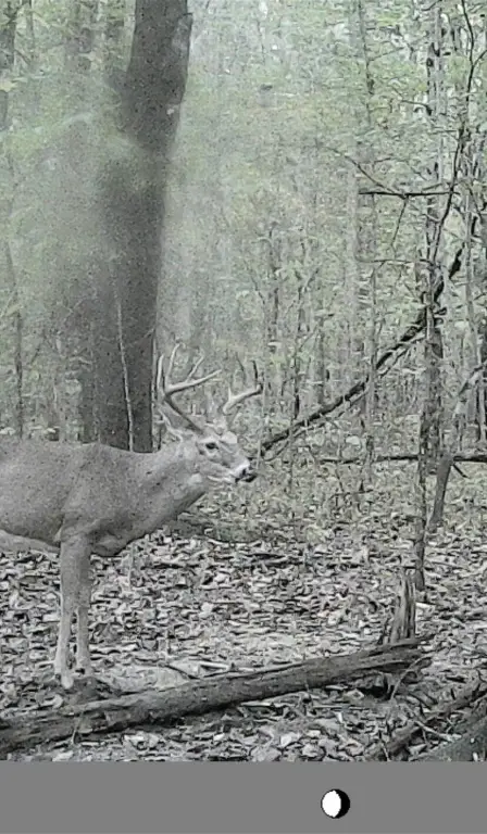 Picture 16