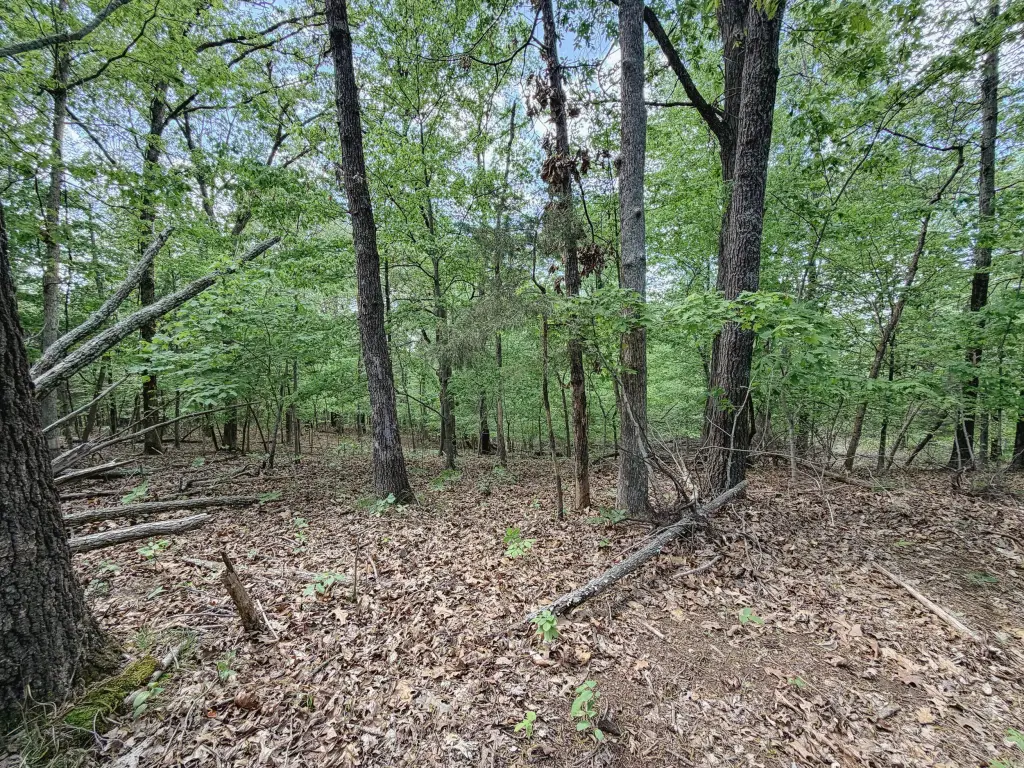 Picture 6