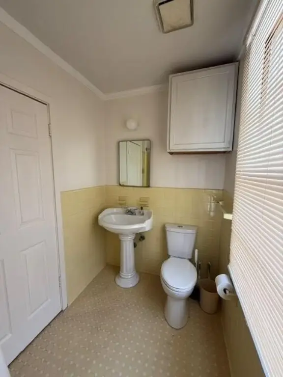 Picture 17