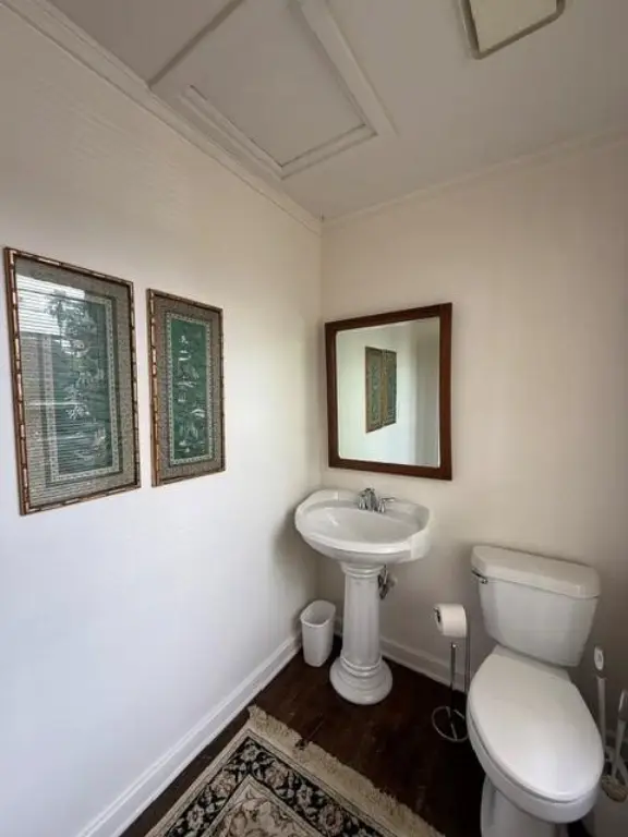 Picture 29