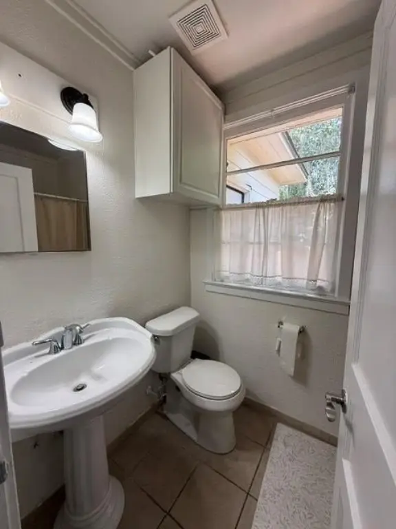 Picture 28