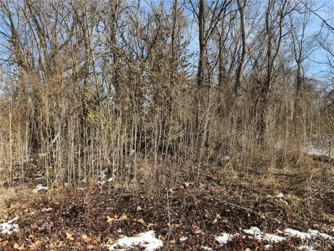 Residential Land in Convenient Location