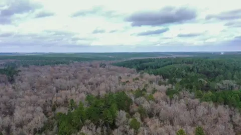 Secluded Timber and Recreational Tract