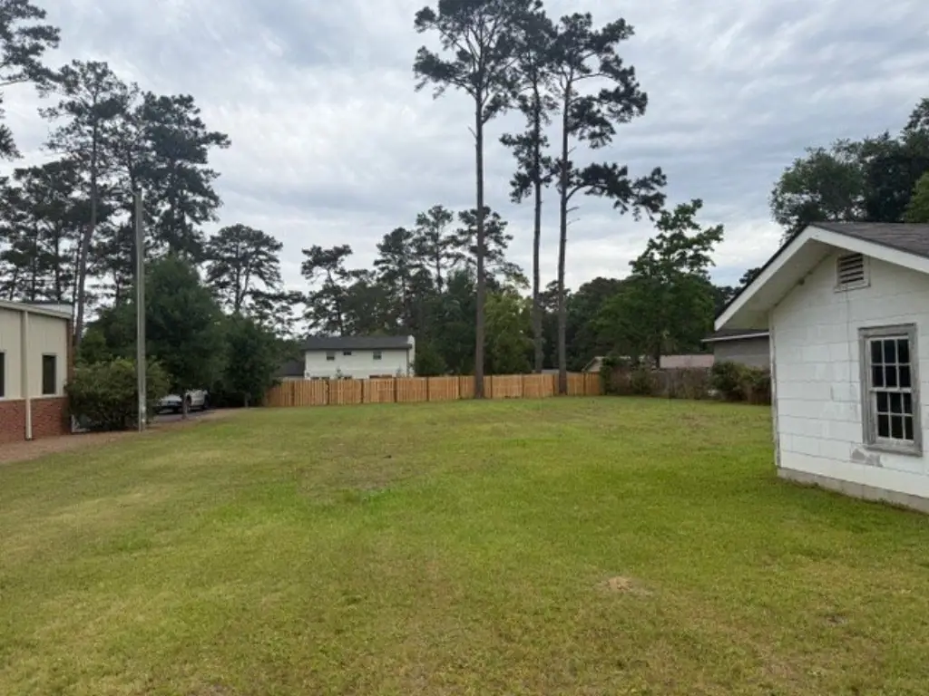 Picture 3