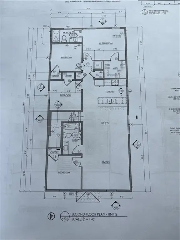 Picture 5