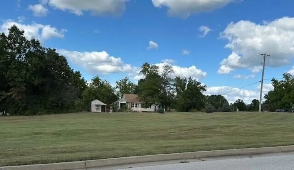 Picture 5
