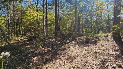 Ozark Land Near Bull Shoals