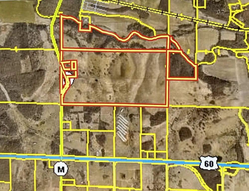 Picture 20