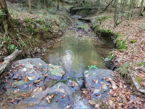 Tennessee Woodlands Hunting Land