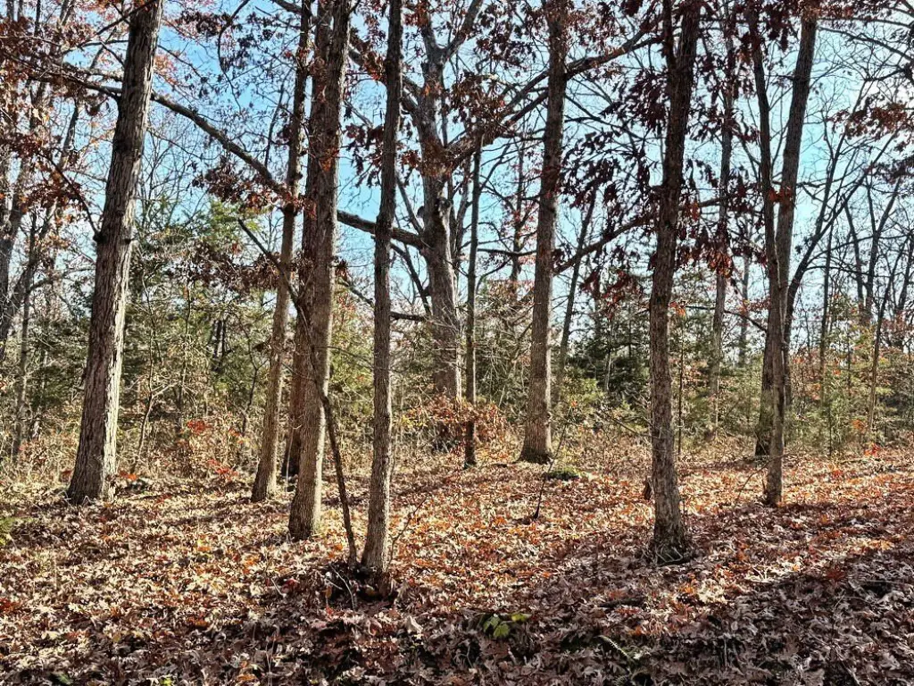 Picture 39