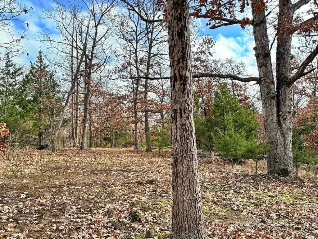 Picture 11