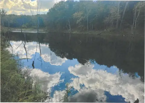 64 Acres with Stocked Lake