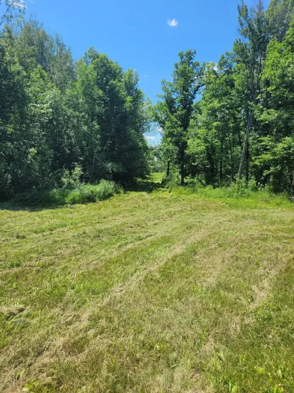 Picture 23