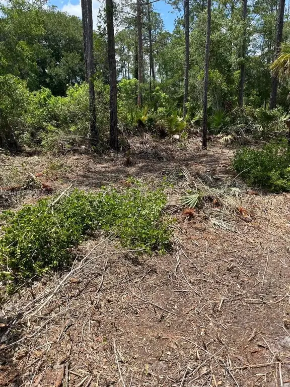 Picture 3