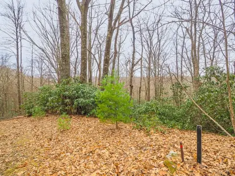 Mountain Lot in Gated Community