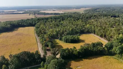 80 Acres of Rural Land