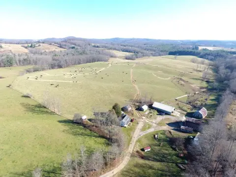 Laurel Fork Working Farm