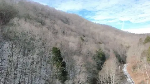 Wooded Hunting Land in Chilhowie