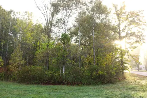 Corner Lot in Amsterdam, NY