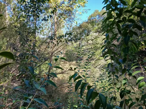 Granbury, TX Vacant Land