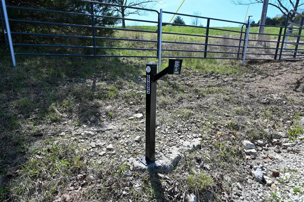 Picture 14