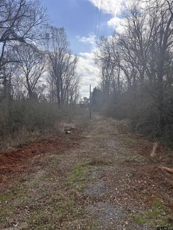 Picture 5