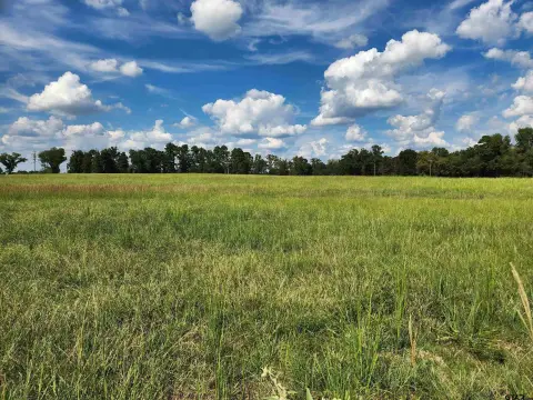Unrestricted Land in Mt Pleasant