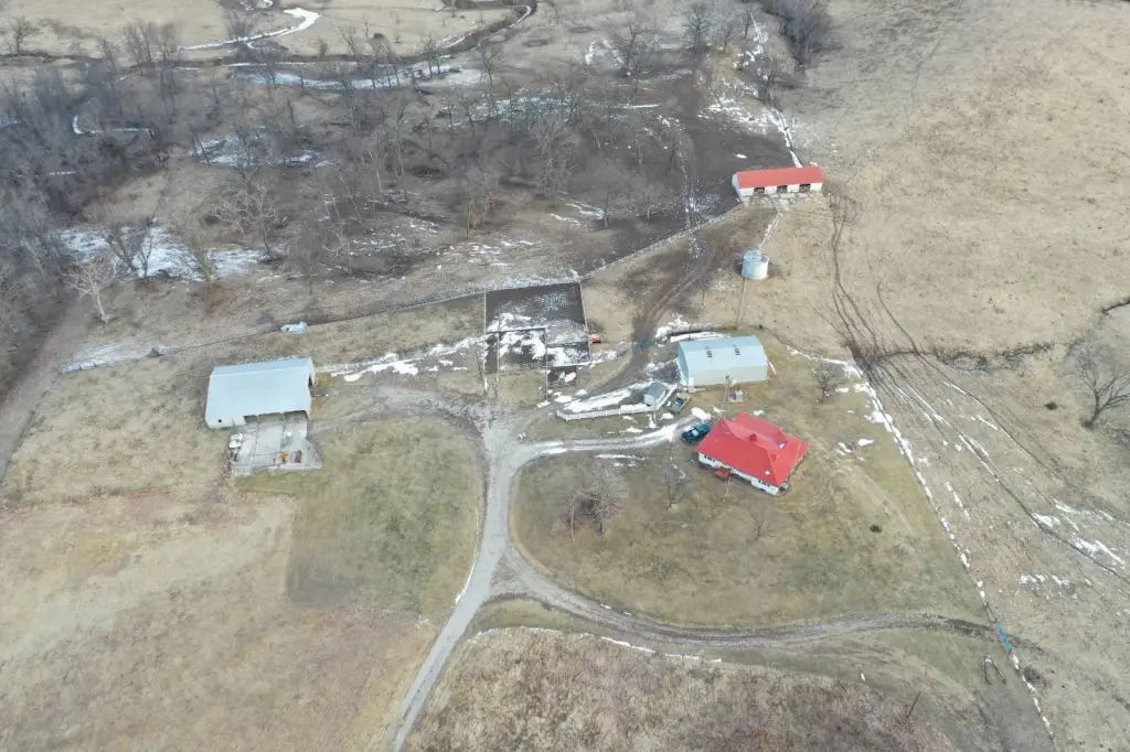 Picture 15