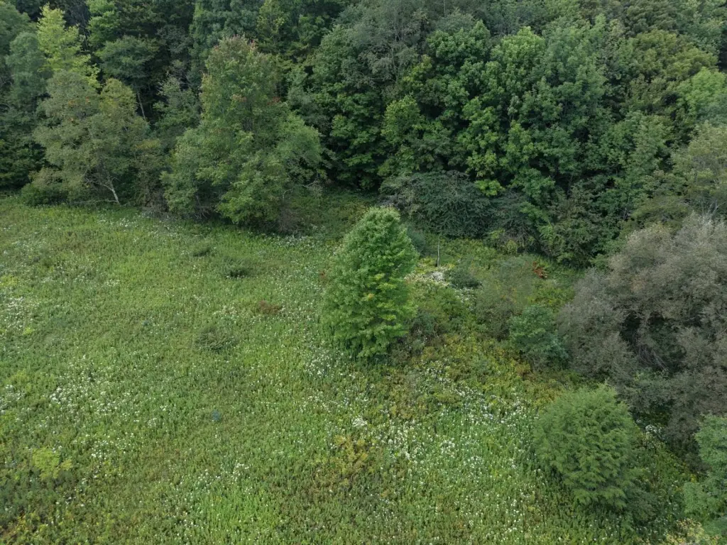 Picture 11