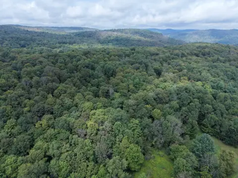 Wooded Recreation Land