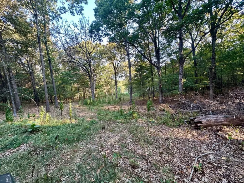 Picture 17