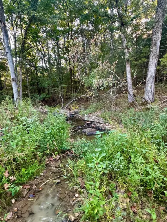 Picture 18