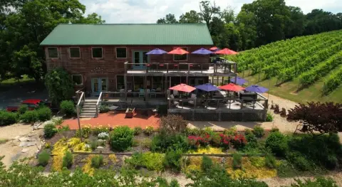 Shenandoah Valley Winery and Vineyard