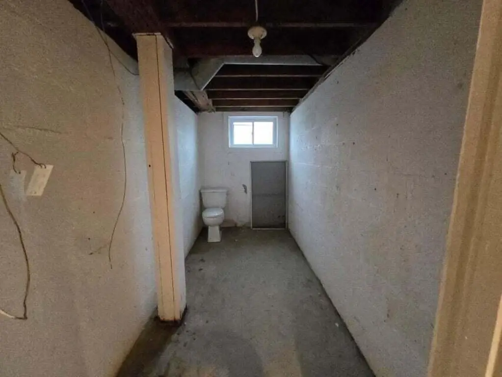 Picture 19