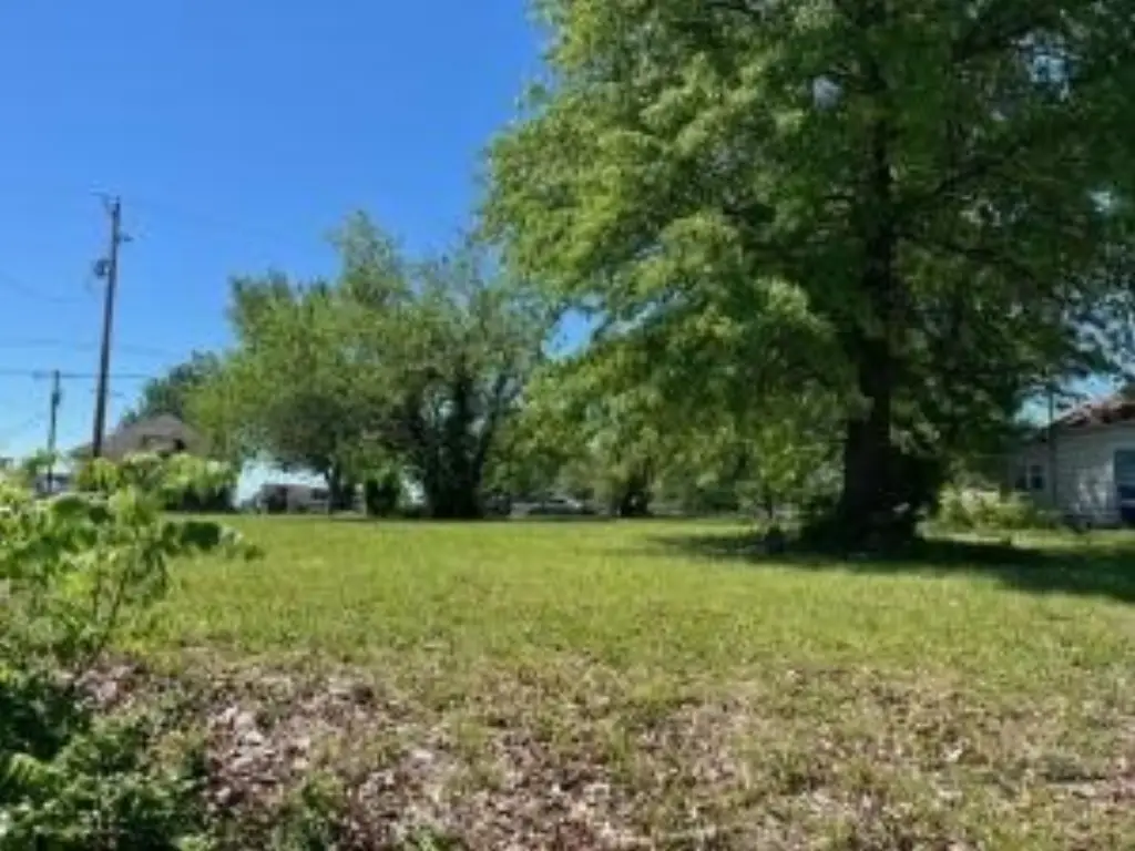 Picture 4