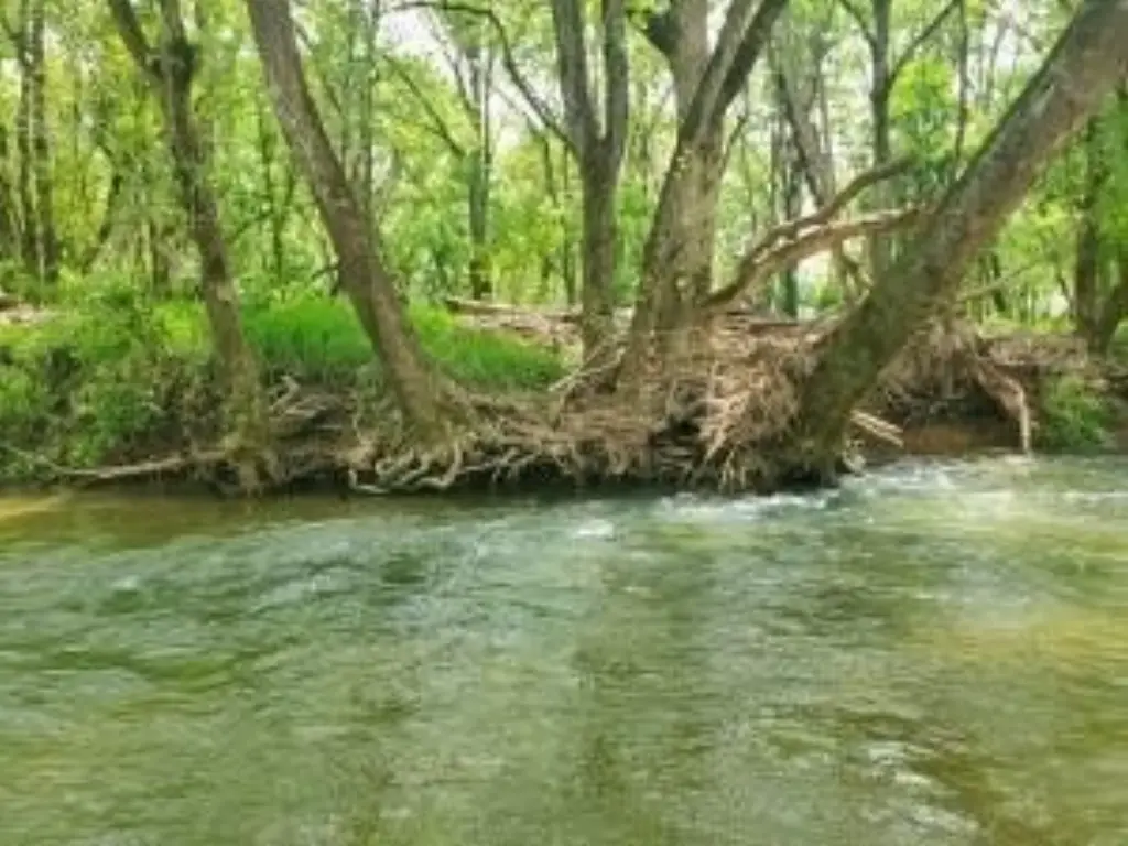 Picture 2