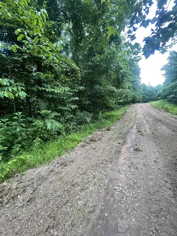Picture 2