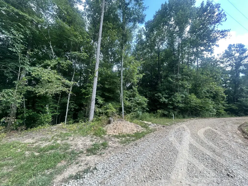 Picture 5