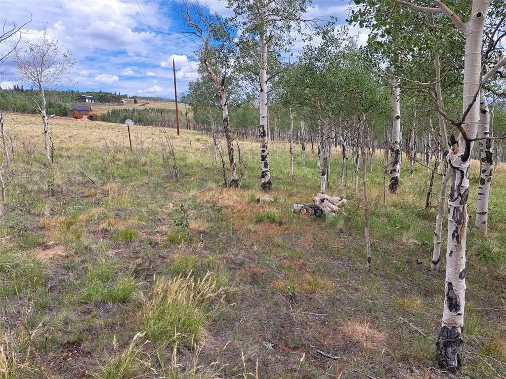 Picture 19