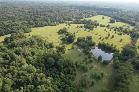 40 Acres of Louisiana Paradise