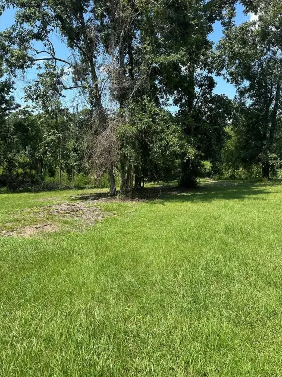 Picture 3