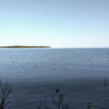 Waterfront Land with Lakeshore